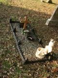 image of grave number 228911